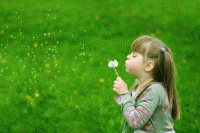 allergia AGHD Srl