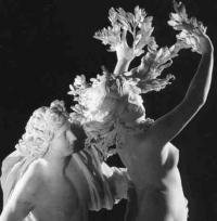 Apollo e Dafne AGHD srl