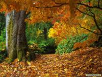 L'autunno all'Erbolario è la stagione dei colori ma anche dei raffreddori!