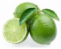 Profumo di Agrumi, sentore di Legni per una Frescaessenza! AGHD Srl