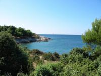 macchia mediterranea AGHD srl