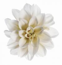 Petali e fiori L'Erbolario, AGHD Srl